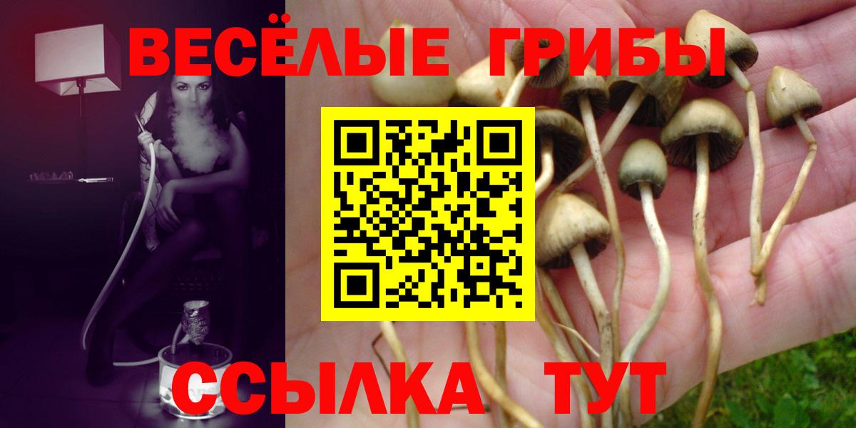 Галлюциногенные грибы Cubensis Энгельс