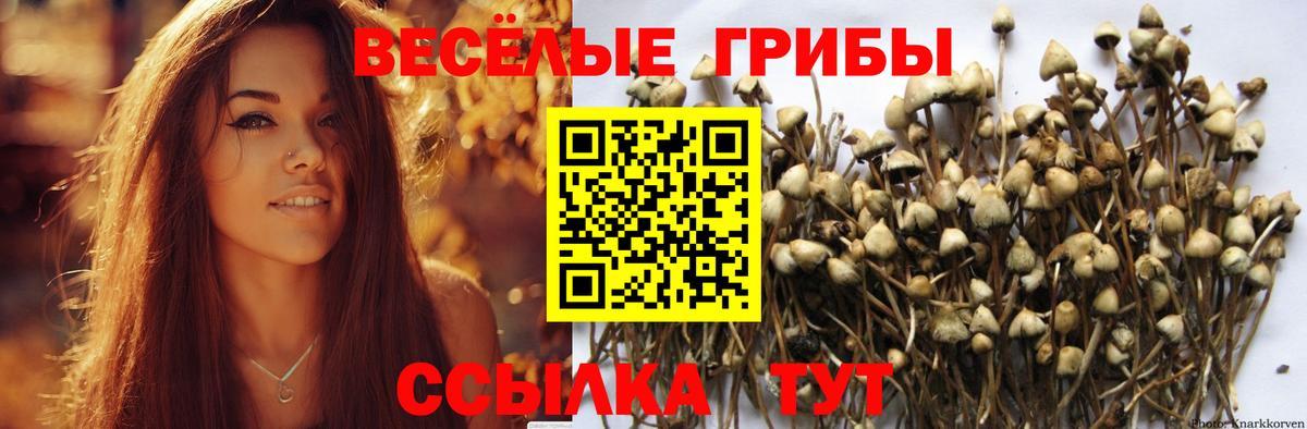 Энгельс  Псилоцибиновые грибы мухоморы  хочу   Вход с VPN 